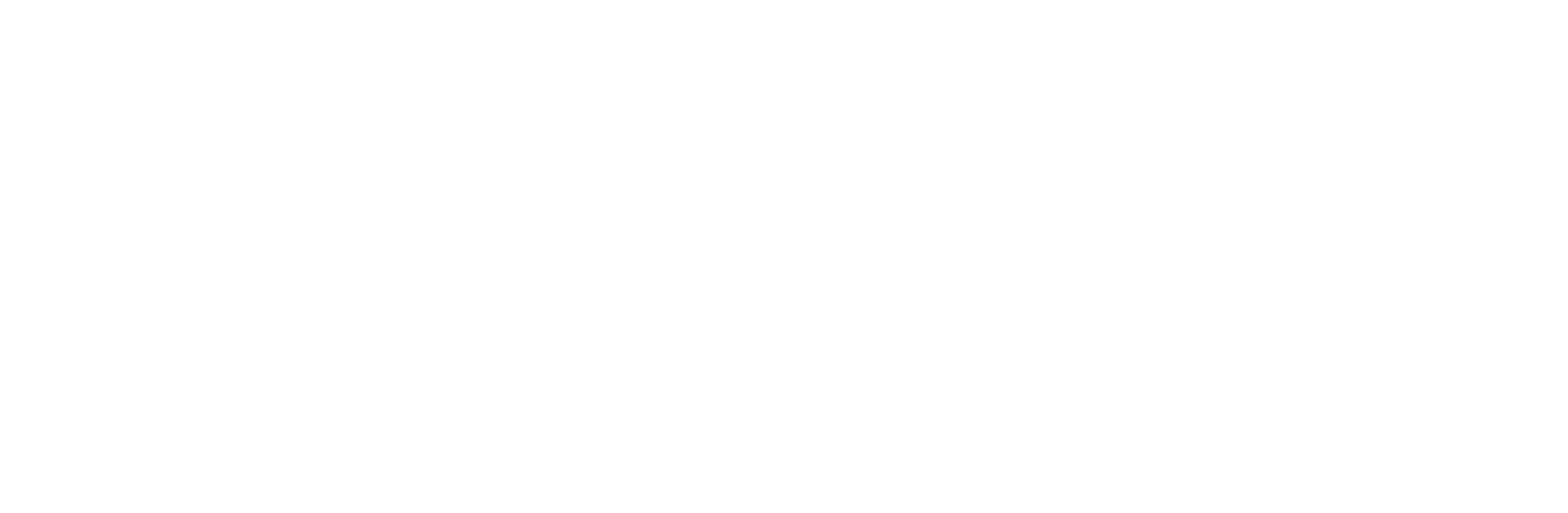 Nowe Horyzonty